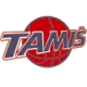 塔米斯 队徽
