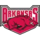 阿肯色大学 队徽